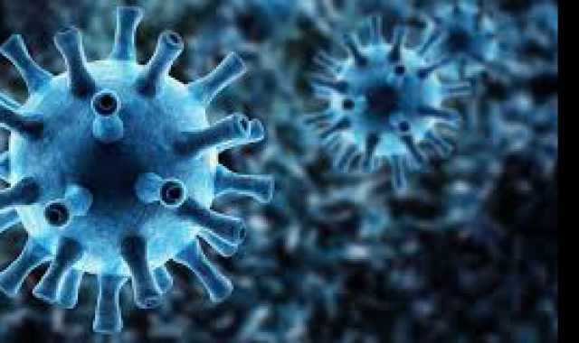 Coronavirus, in Puglia un solo nuovo caso: positivo lo 0,08% dei tamponi